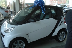 Sorteo 2014 - Auto