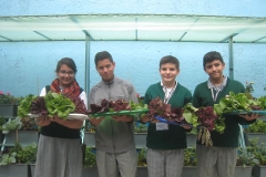 CAE con cosecha_cIMG_0036