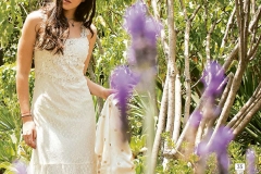 Bohemias copia