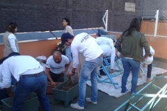 11. Jornada de voluntariado (pintado y acomodo del huerto)