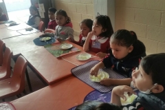 Feria Ambiental