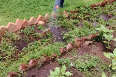 Riego camas de cultivo