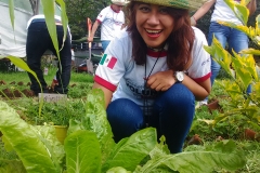 Voluntaria primer plano deshierbando