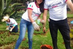 Voluntarios abonando
