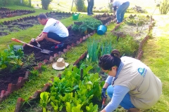 Voluntarios y CICEANA