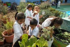 Niños buscando bichos_J Niños Jaime Nuno