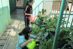 Prim_Lic_Miguel Serrano_Alumnas durante el riego del huerto
